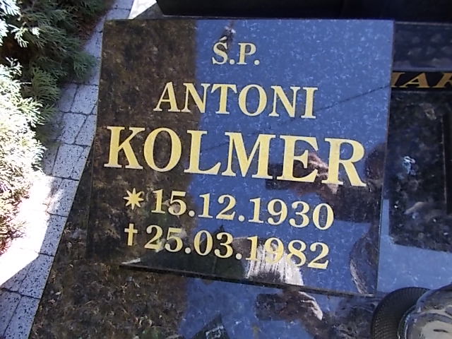 Antoni Kolmer 1930 Złotoryja - Grobonet - Wyszukiwarka osób pochowanych