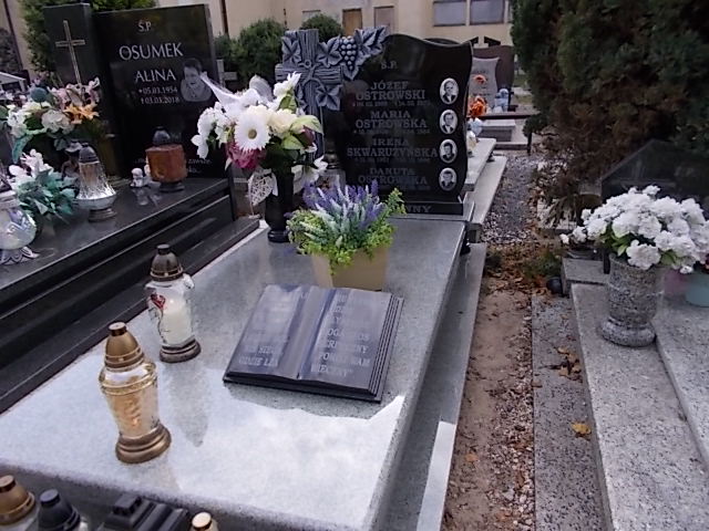 Danuta Ostrowska 1947 Złotoryja - Grobonet - Wyszukiwarka osób pochowanych
