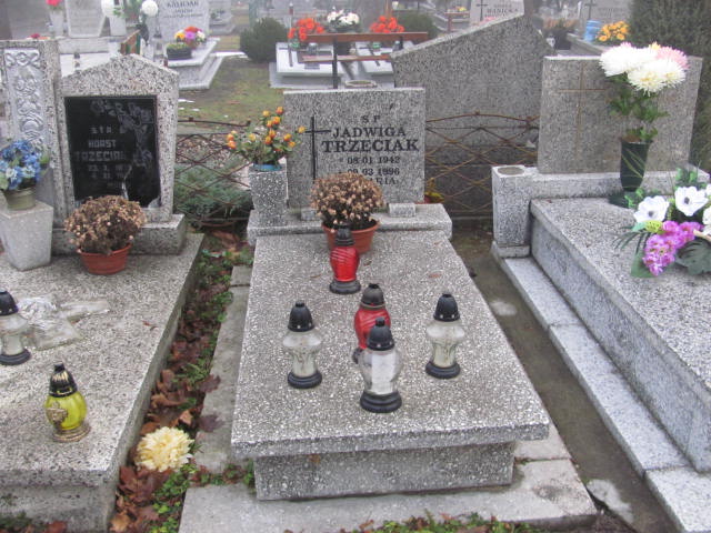 Grób Jadwiga Trzeciak