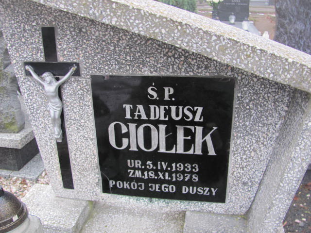 Tadeusz Ciołek 1933 Złotoryja - Grobonet - Wyszukiwarka osób pochowanych