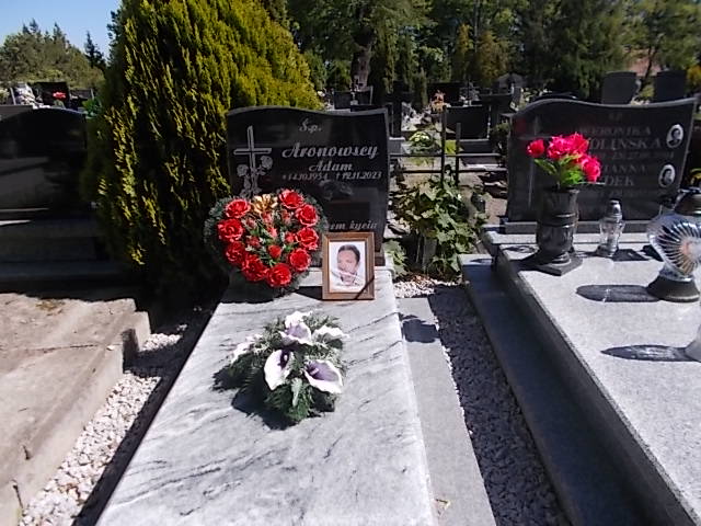 Grób Władysław Ławniczak