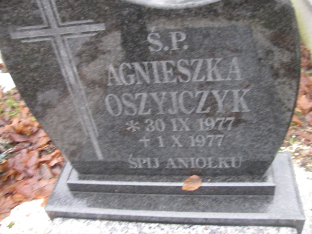 Agnieszka Oszyjczyk 1977 Złotoryja - Grobonet - Wyszukiwarka osób pochowanych