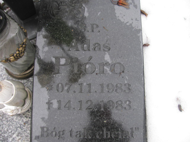 Adam Pióro 1983 Złotoryja - Grobonet - Wyszukiwarka osób pochowanych