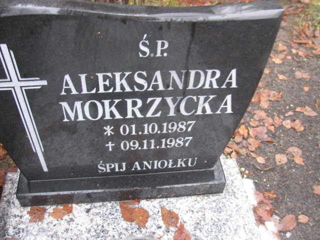Aleksandra Mokrzycka 1987 Złotoryja - Grobonet - Wyszukiwarka osób pochowanych