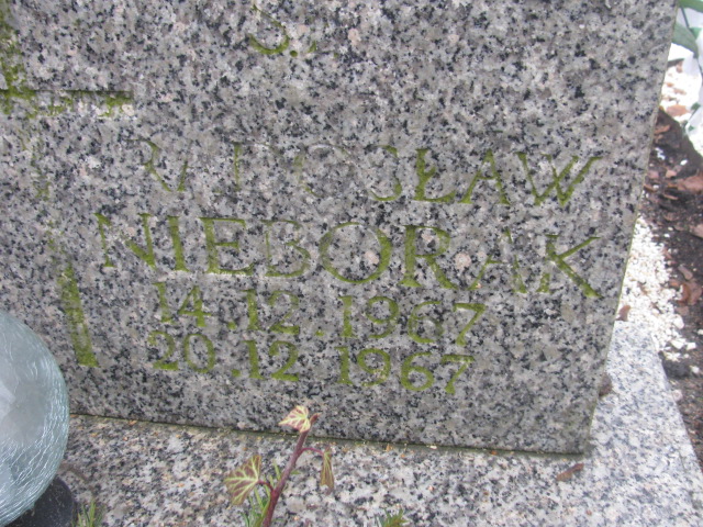 Radosław Nieborak 1967 Złotoryja - Grobonet - Wyszukiwarka osób pochowanych