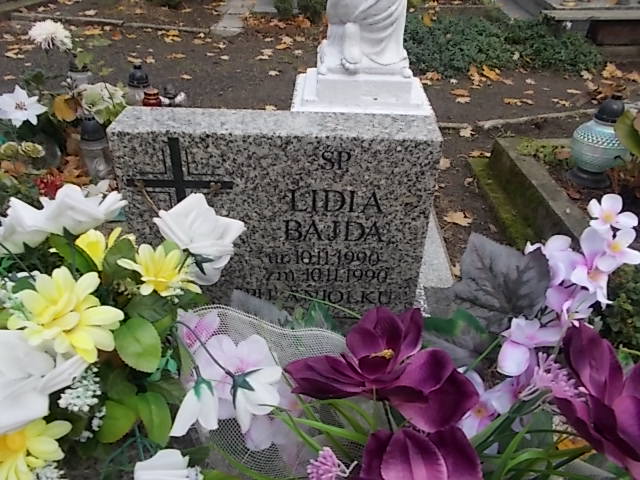Grób Lidia Bajda