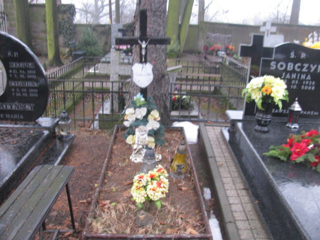 Grób Teofila Bednowska