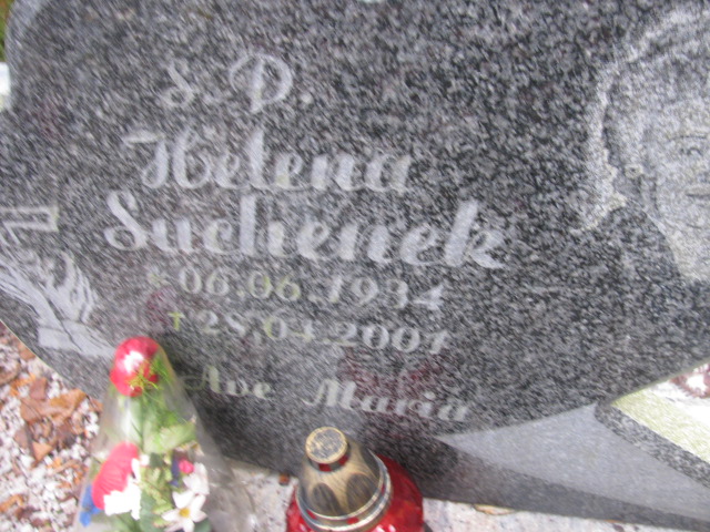 Iwona Suchenek 1964 Złotoryja - Grobonet - Wyszukiwarka osób pochowanych