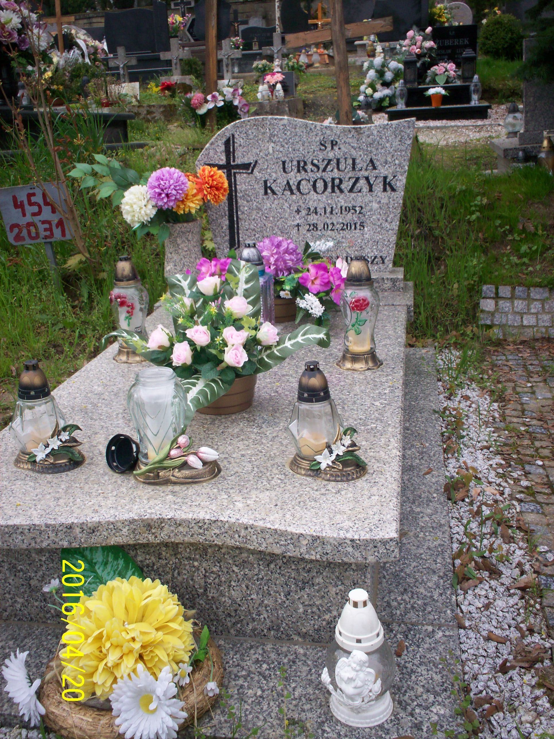 Urszula KACORZYK 1952 Złotoryja - Grobonet - Wyszukiwarka osób pochowanych