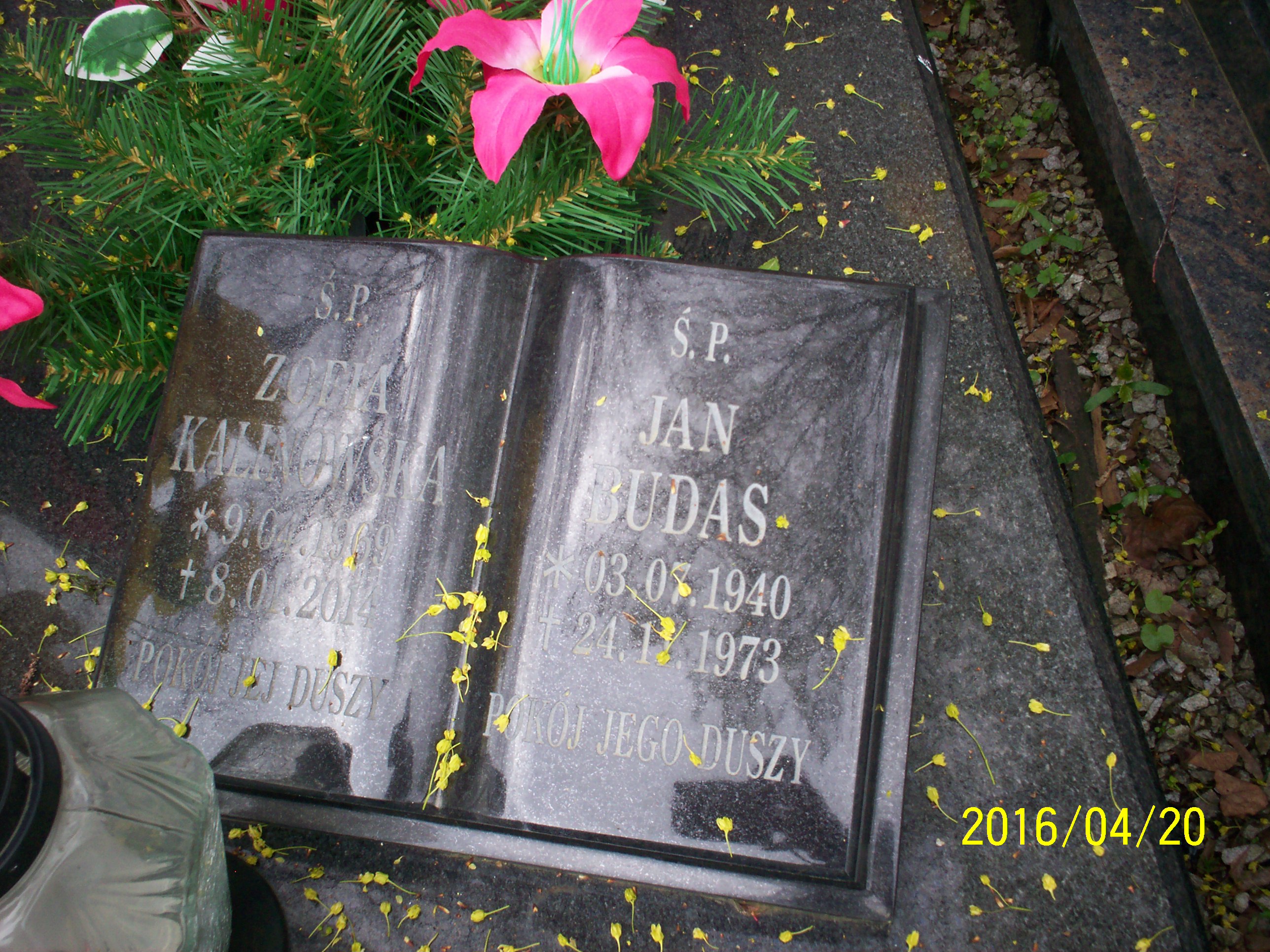 Grób Zofia Kalinowska