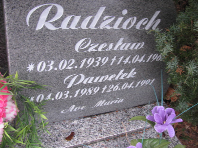 Czesław Radzioch 1939 Złotoryja - Grobonet - Wyszukiwarka osób pochowanych