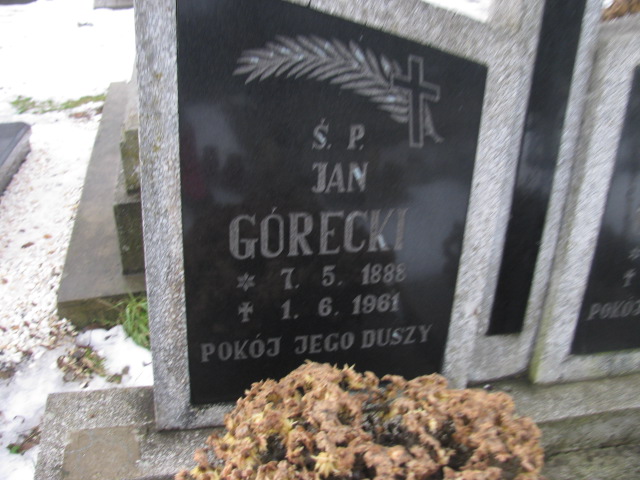 Aniela Górecka 1895 Złotoryja - Grobonet - Wyszukiwarka osób pochowanych