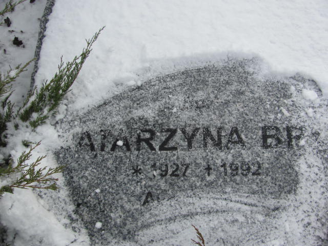 Jan Bryś 1924 Złotoryja - Grobonet - Wyszukiwarka osób pochowanych