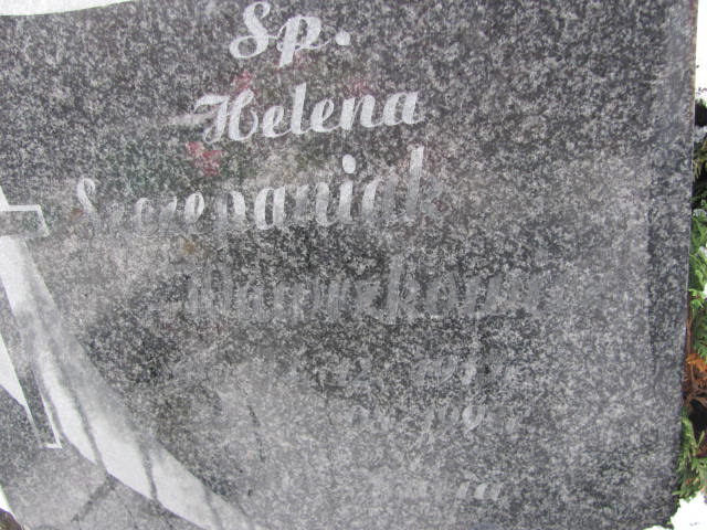 Helena Szczepaniak 1917 Złotoryja - Grobonet - Wyszukiwarka osób pochowanych