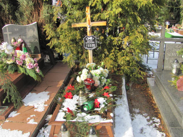 Grób Janina Wygiera