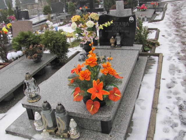 Zofia Zientara 1936 Złotoryja - Grobonet - Wyszukiwarka osób pochowanych